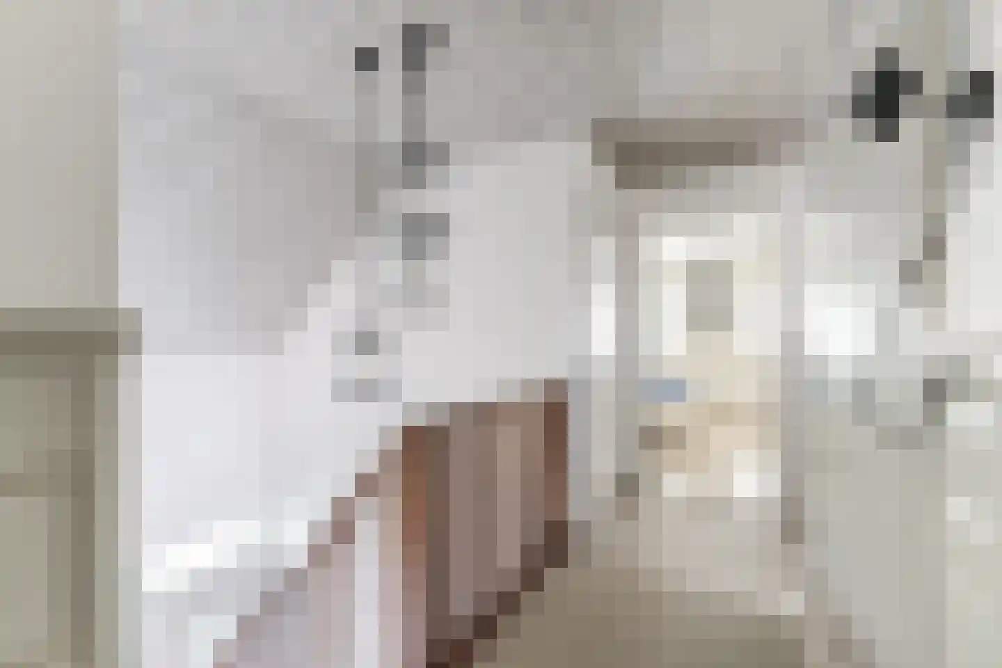 Veenstraat 16 Molenschot thumbnail 28