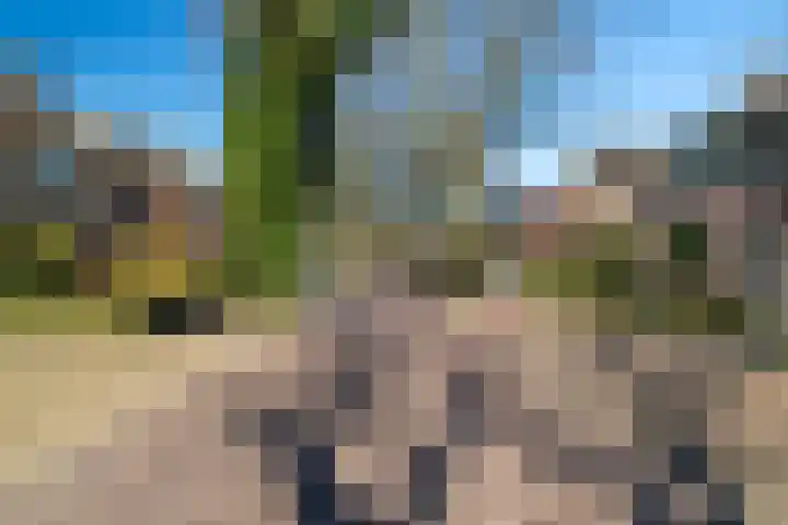 Veenstraat 23 Molenschot thumbnail 10
