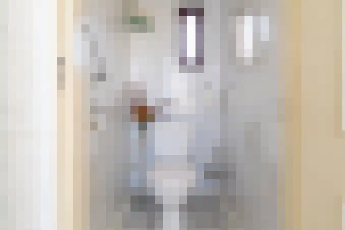 Veenstraat 23 Molenschot thumbnail 21