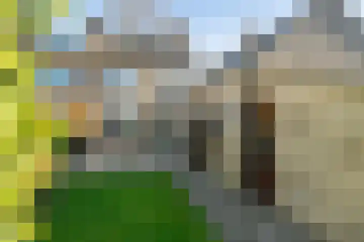 Veenstraat 23 Molenschot thumbnail 4