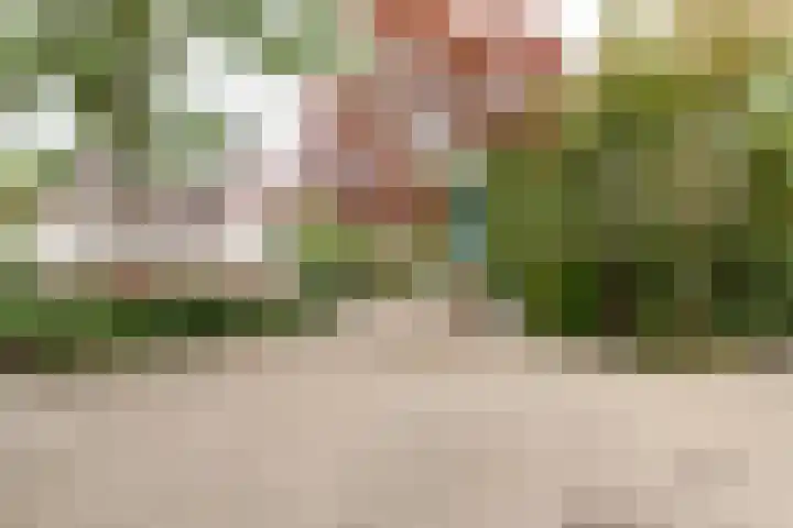 Veenstraat 23 Molenschot thumbnail 6