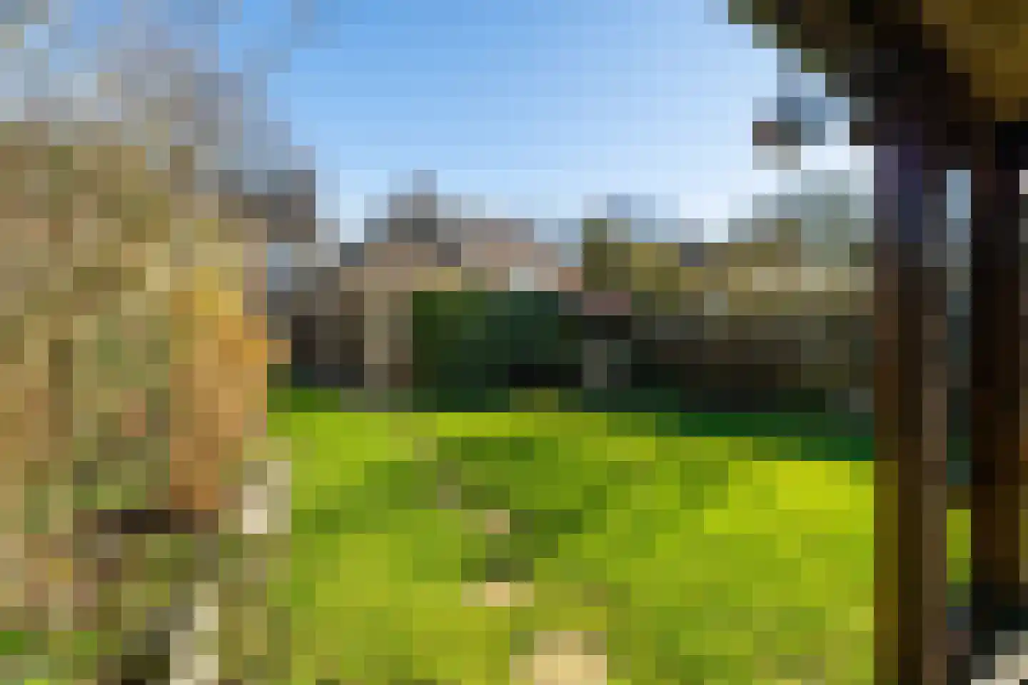 Veenstraat 23 Molenschot thumbnail 6