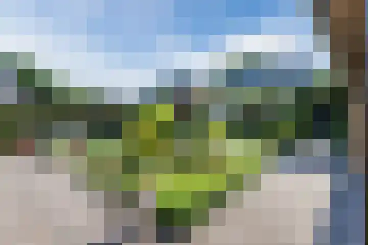 Veenstraat 26 Molenschot thumbnail 4