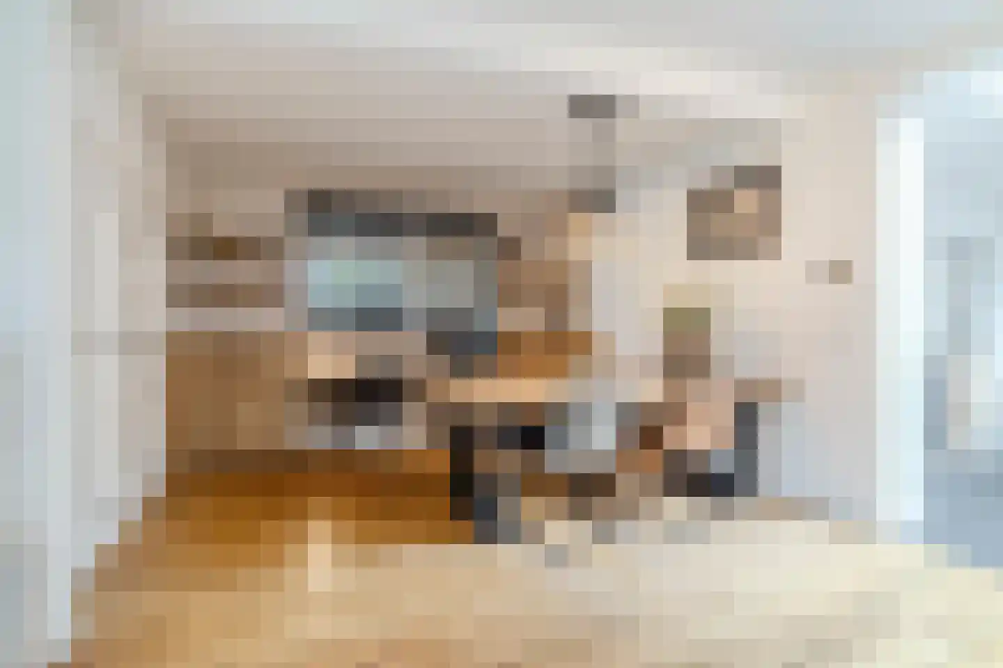 Veenstraat 28 Molenschot thumbnail 11