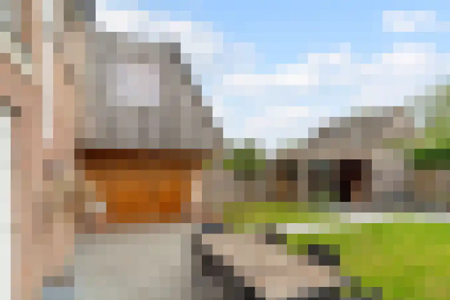 Veenstraat 28 Molenschot thumbnail 24