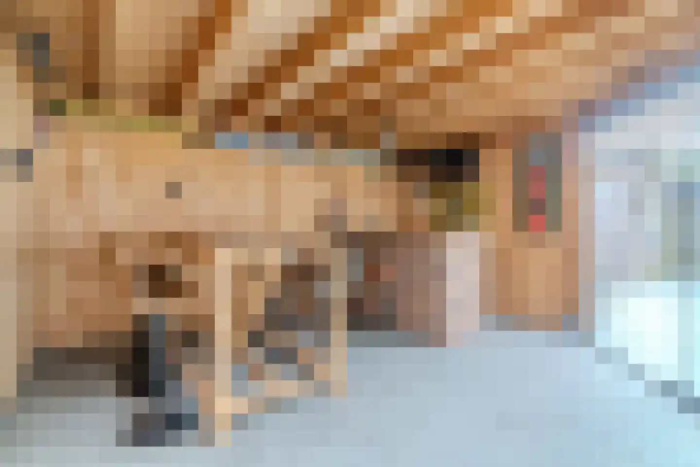 Veenstraat 28 Molenschot thumbnail 32