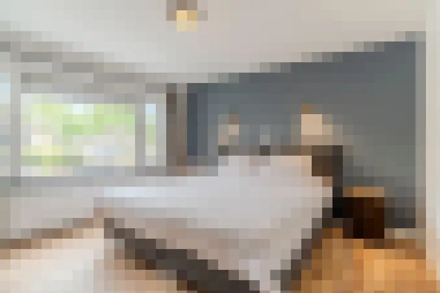 Veenstraat 28 Molenschot thumbnail 34