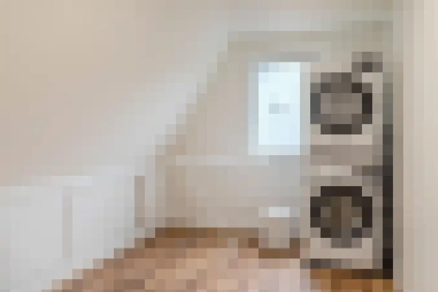 Veenstraat 28 Molenschot thumbnail 51
