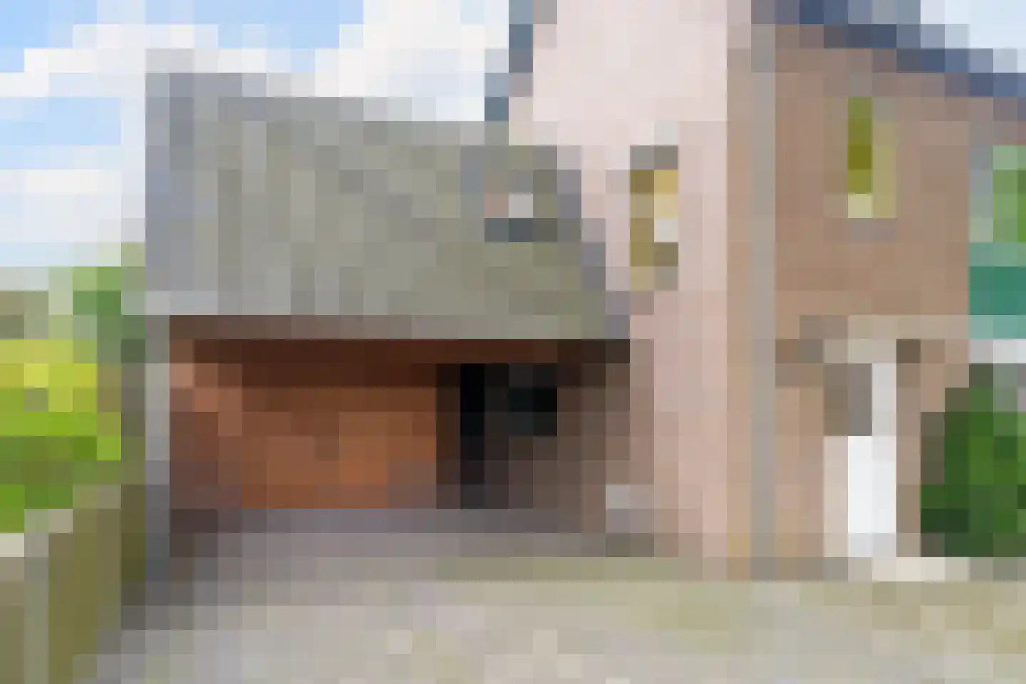 Veenstraat 28 Molenschot thumbnail 62