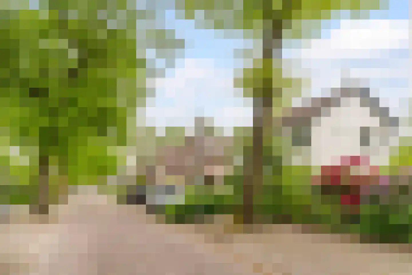 Veenstraat 28 Molenschot thumbnail 64