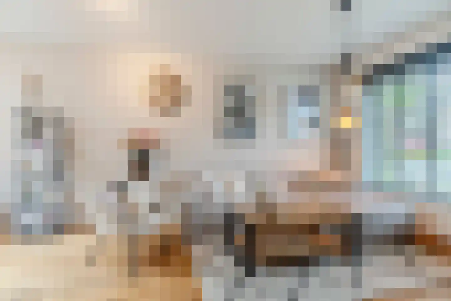 Veenstraat 28 Molenschot thumbnail 8