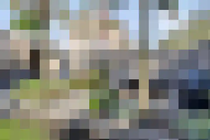 Veenstraat 40 IJsselmuiden thumbnail 4