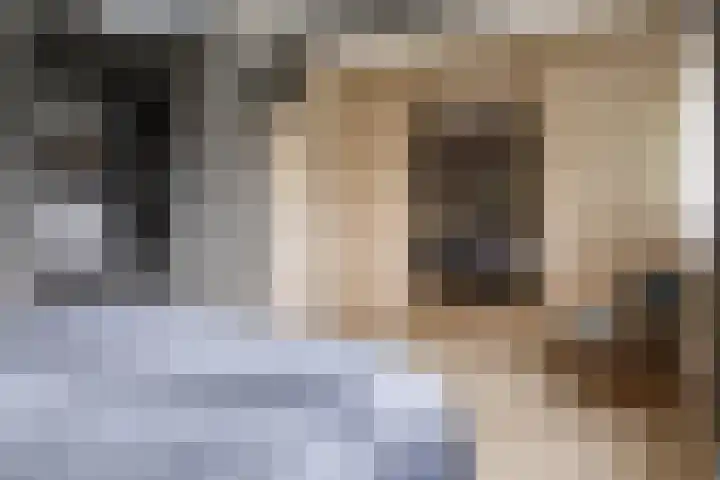 Veentien 12 Meppel thumbnail 20