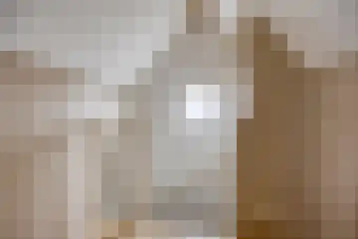 Veentien 12 Meppel thumbnail 24