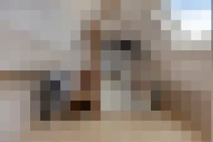 Veentien 12 Meppel thumbnail 25