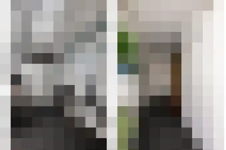 Veentien 12 Meppel thumbnail 26