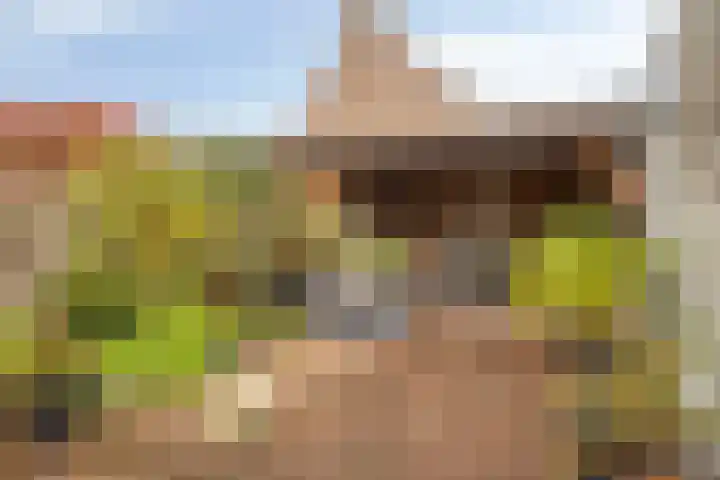 Veentien 12 Meppel thumbnail 29