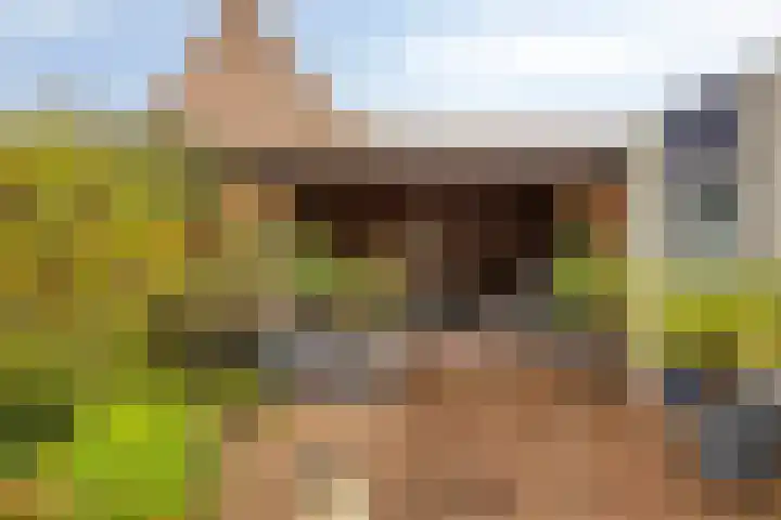 Veentien 12 Meppel thumbnail 30