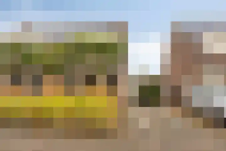 Veentien 12 Meppel thumbnail 33