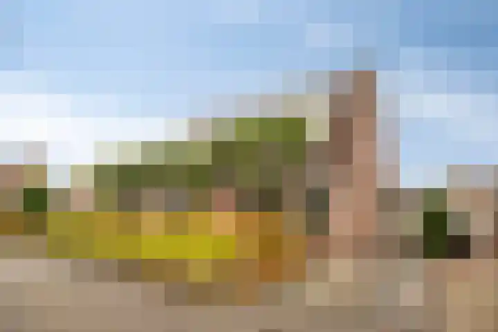 Veentien 12 Meppel thumbnail 34