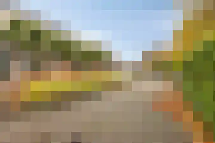 Veentien 12 Meppel thumbnail 35