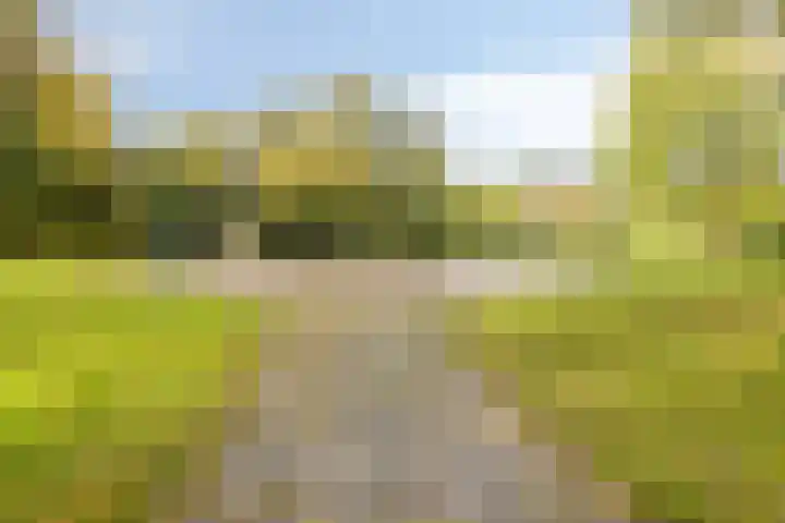 Veentien 12 Meppel thumbnail 37