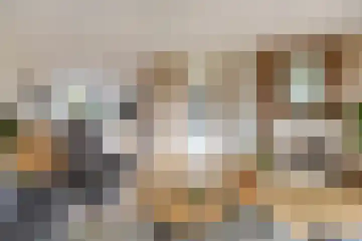 Veentien 12 Meppel thumbnail 8