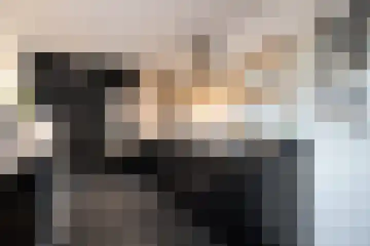 Veentien 14 Meppel thumbnail 15