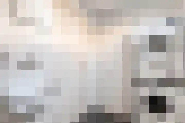 Veentien 14 Meppel thumbnail 17