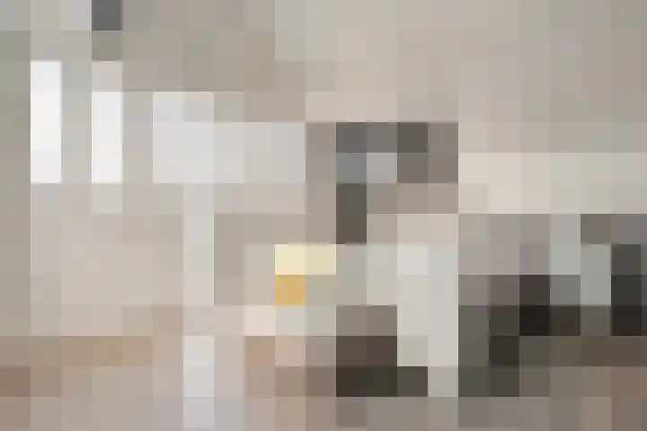 Veentien 14 Meppel thumbnail 21