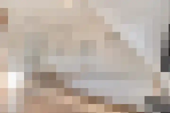 Veentien 14 Meppel thumbnail 27