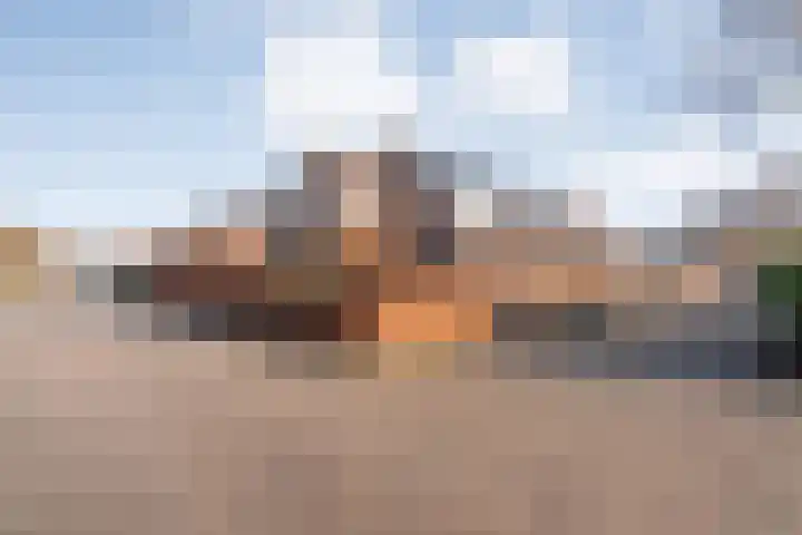 Veentien 14 Meppel thumbnail 34