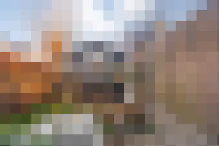 Veentien 14 Meppel thumbnail 35