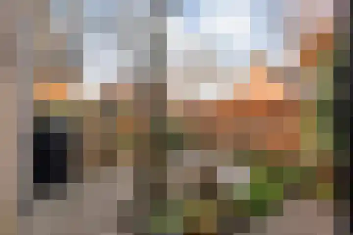 Veentien 14 Meppel thumbnail 36