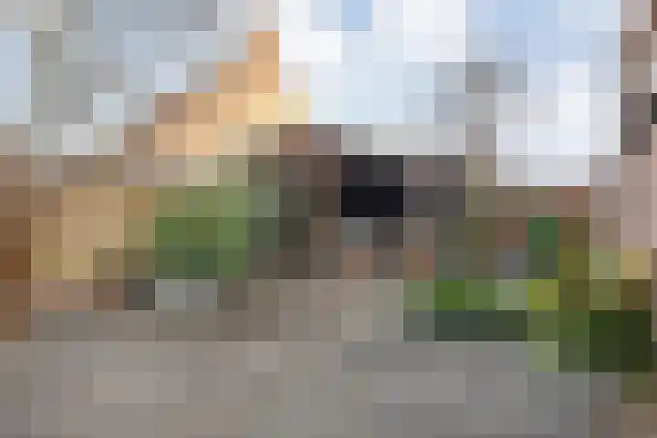 Veentien 14 Meppel thumbnail 37