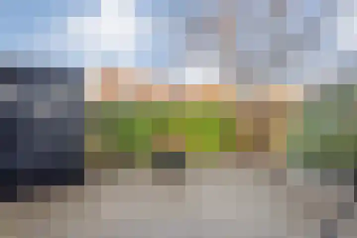 Veentien 14 Meppel thumbnail 38