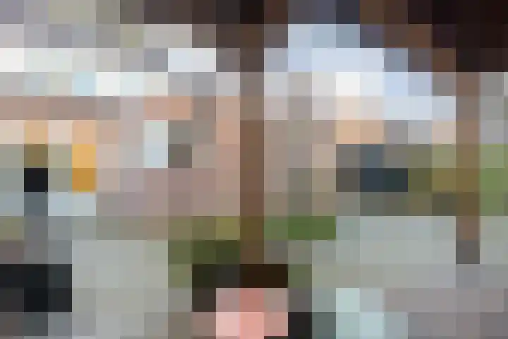 Veentien 14 Meppel thumbnail 40