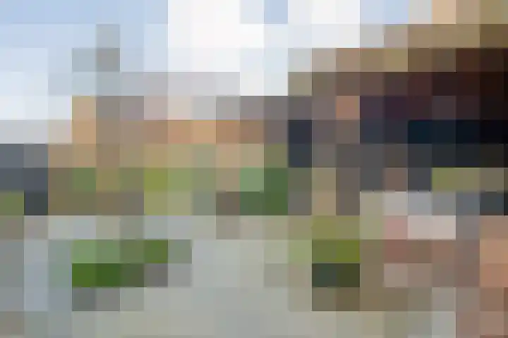 Veentien 14 Meppel thumbnail 42