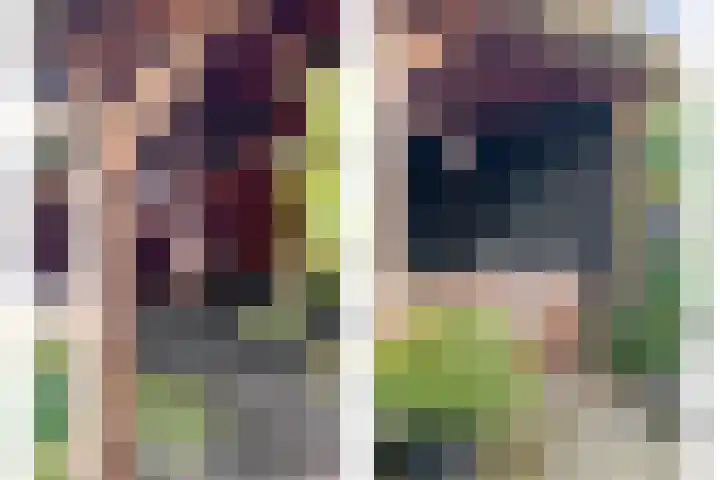 Veentien 14 Meppel thumbnail 44