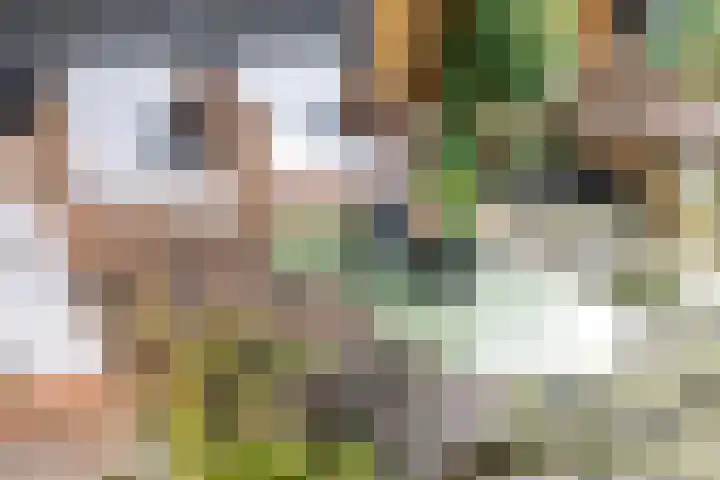 Veentien 14 Meppel thumbnail 46
