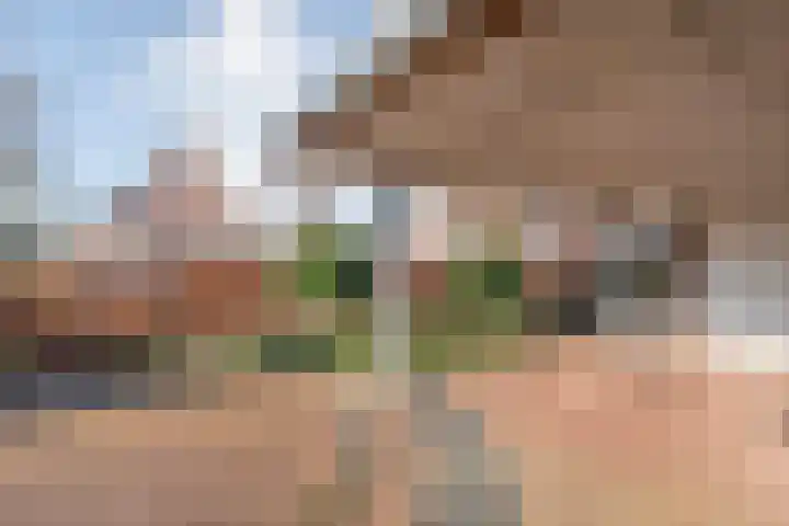Veentien 14 Meppel thumbnail 47