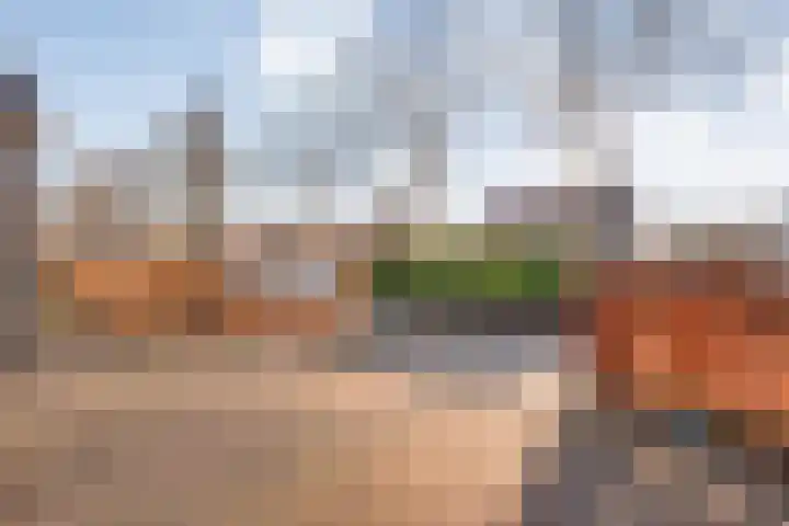 Veentien 14 Meppel thumbnail 48