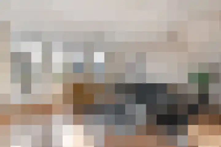 Veentien 14 Meppel thumbnail 6
