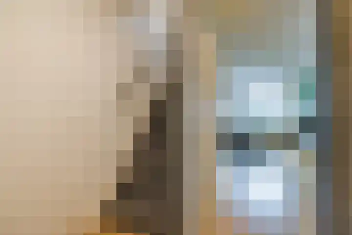Veentien 19 Meppel thumbnail 11