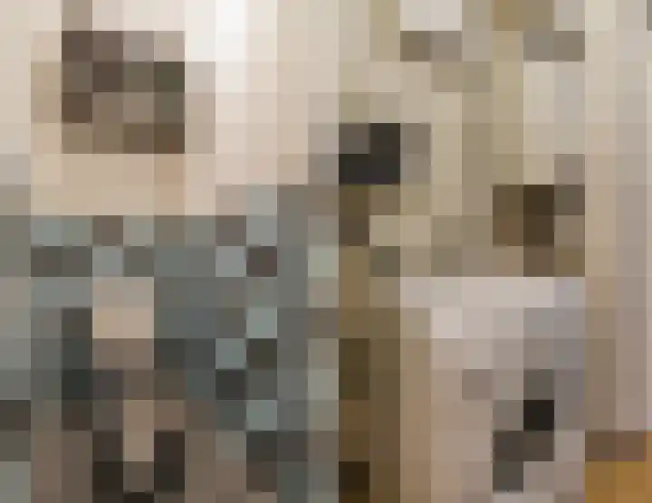 Veentien 19 Meppel thumbnail 12