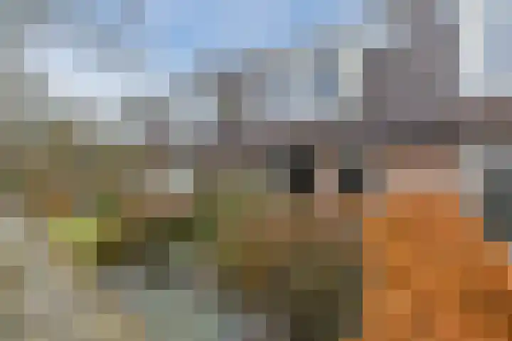 Veentien 19 Meppel thumbnail 25