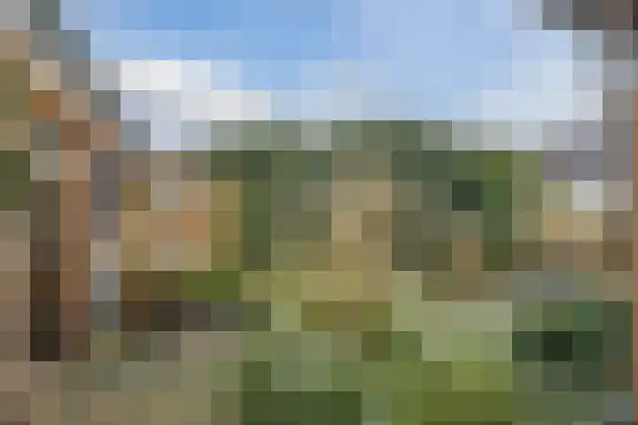 Veentien 19 Meppel thumbnail 30