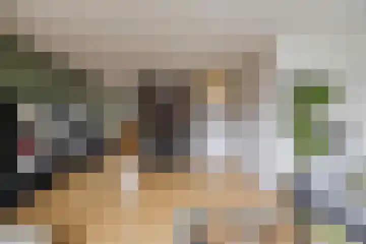Veentien 19 Meppel thumbnail 5