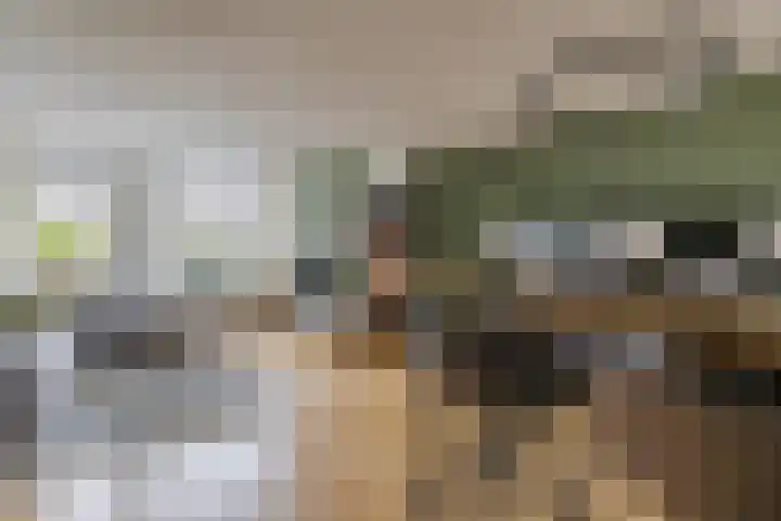 Veentien 19 Meppel thumbnail 6