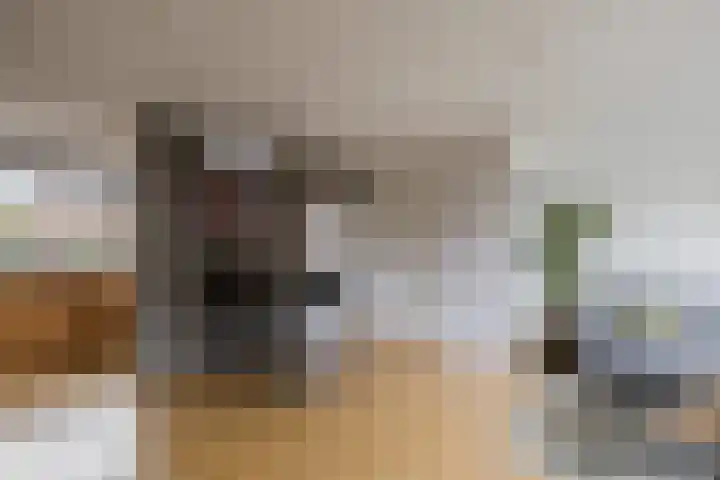 Veentien 19 Meppel thumbnail 7